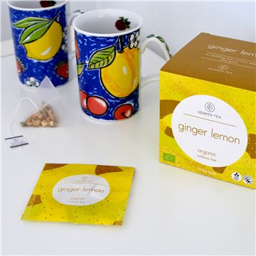 Infusión Ginger Lemon - 15 Pirámides - AB2226_3